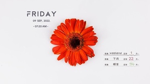 4k高清简约小清新系列