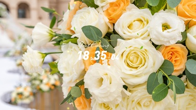 清新花草唯美桌面