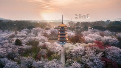 4k 治愈唯美日落樱花园