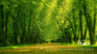 树林 阳光 小路 自然