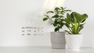 4k极简清新壁纸