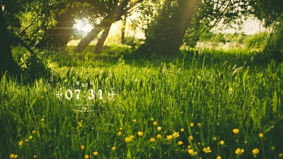 4k高清阳光护眼系列