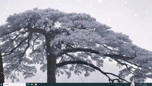 雪松林  电脑版