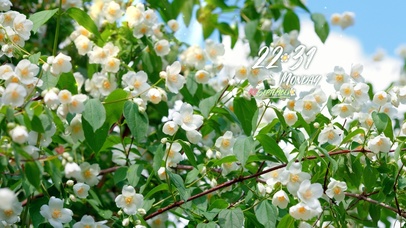 4k阳光灿烂风景