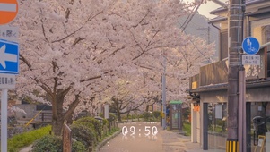 樱花道路治愈带时间