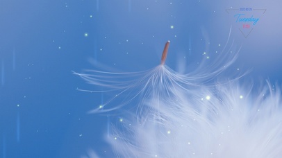 超美蓝天蒲公英