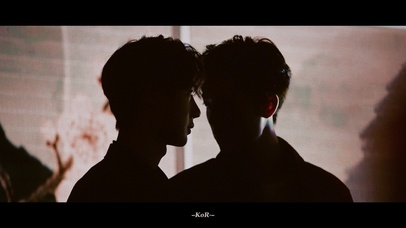 博肖光影（王一博/肖战）