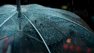 夏雨