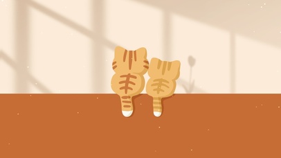 猫猫与光影壁纸