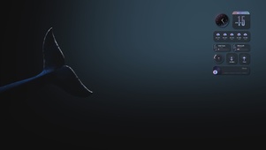 3D蓝鲸
