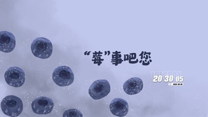 莓事吧您