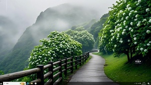 峡谷雨雾