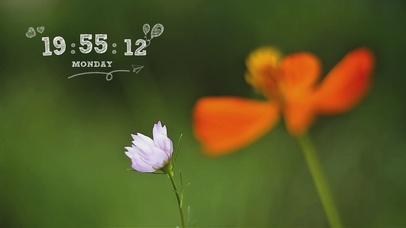 夏日的那一抹橙