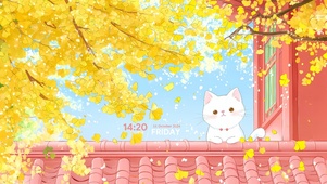 房顶可爱猫