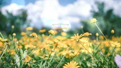 亚瑟点心-那些花儿