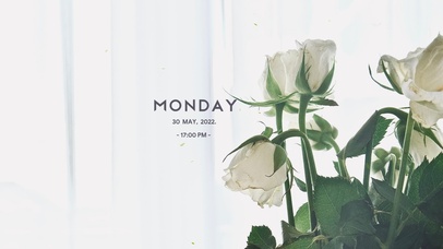 4k高清简约小清新系列