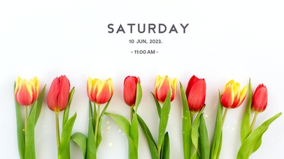 4k清新郁金香系列