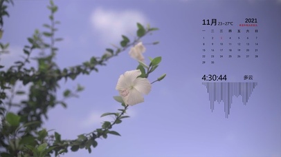 唯美花朵【含时间日历天气】