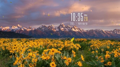 山下盛开的箭叶脂根菊