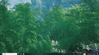 4K绿色护眼竹海