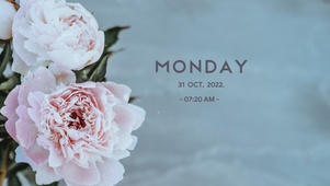 4k高清简约清新桌面