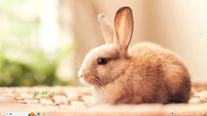 精灵萌兔主题壁纸