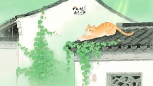 江南屋顶橘猫