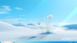 沙漠之花