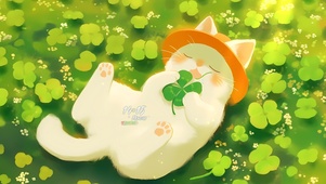 瞌睡虫猫咪