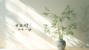 治愈小清新竹叶