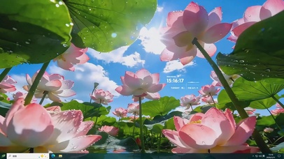 荷风送夏