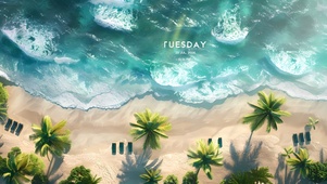 椰林海滩