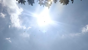 拥抱阳光，每天都要有阳光心情