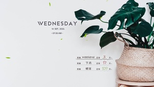 4k高清极简ins风格系列