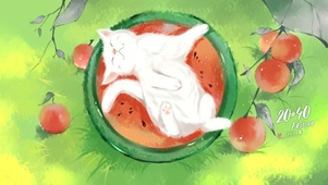 4K 盛夏的猫