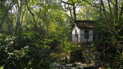 4K护眼林中小屋