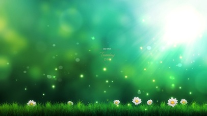 4k 清新护眼小雏菊