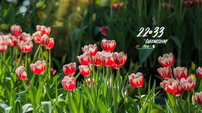 4k治愈清新风景桌面