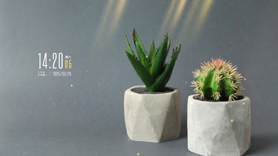 简约系ins绿植壁纸