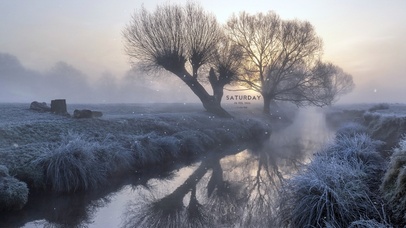 唯美清晨迷雾雪景
