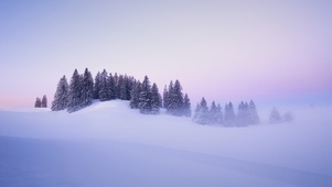 唯美雪景