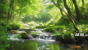 森林溪水