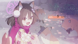 4K摸狐狸