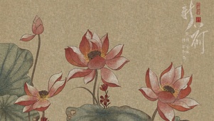 新荷