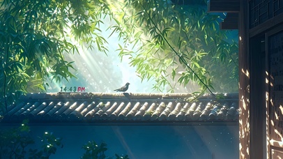 光影 竹林