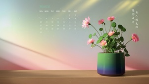 桌面护眼小花