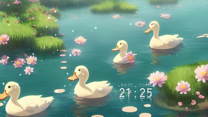 可爱湖中鸭鸭