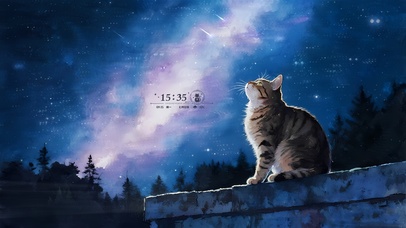 治愈星空猫咪