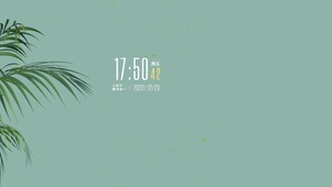 4k高清简约护眼ins风格系列
