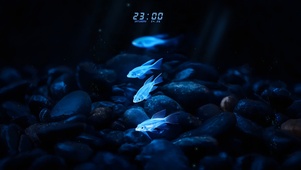 极致梦幻！静谧幽兰荧光海